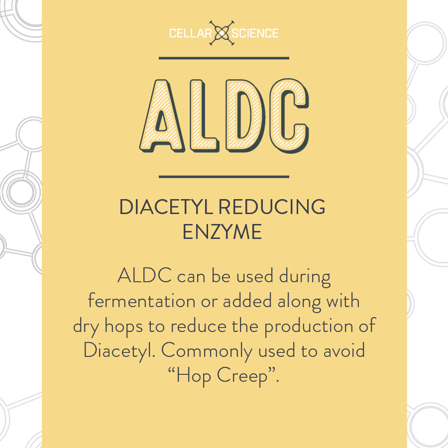 Common Off Flavors in Homebrew