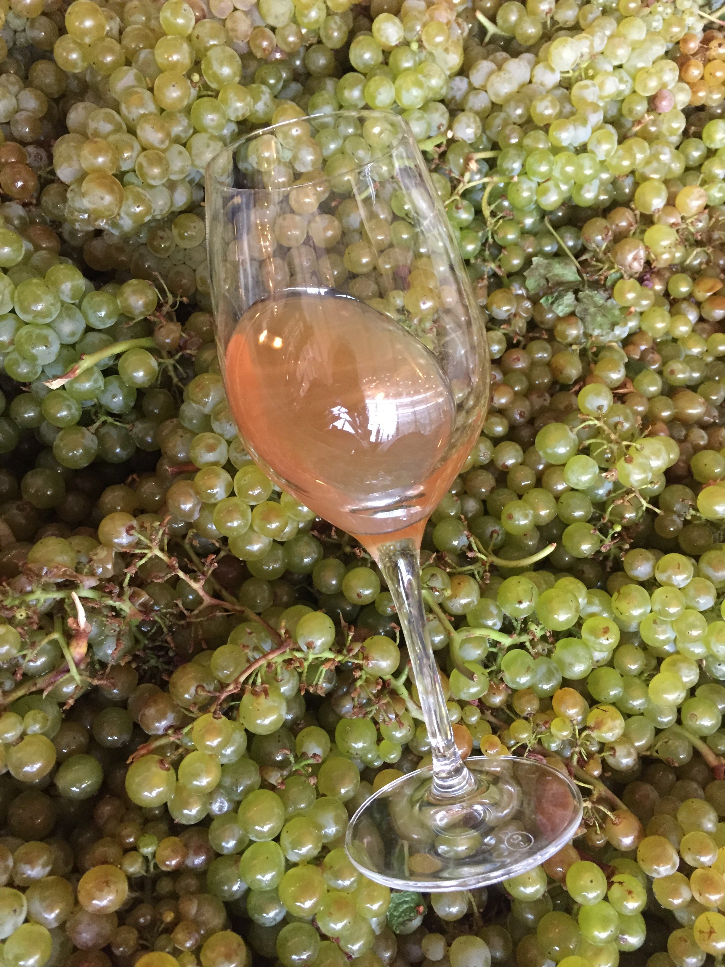 Natural Wine