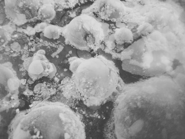 Brewing Lambic at Home