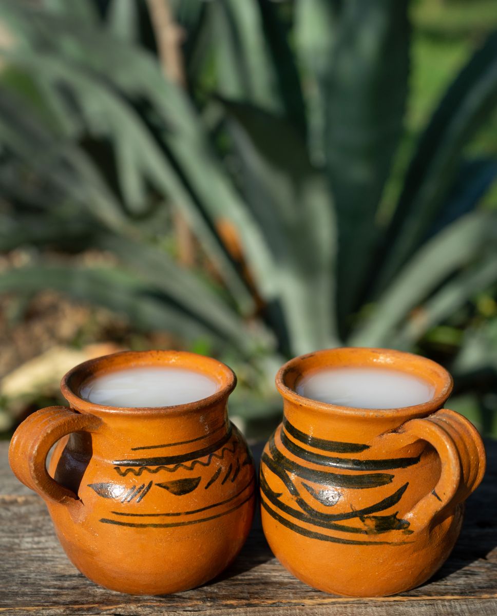 Pulque