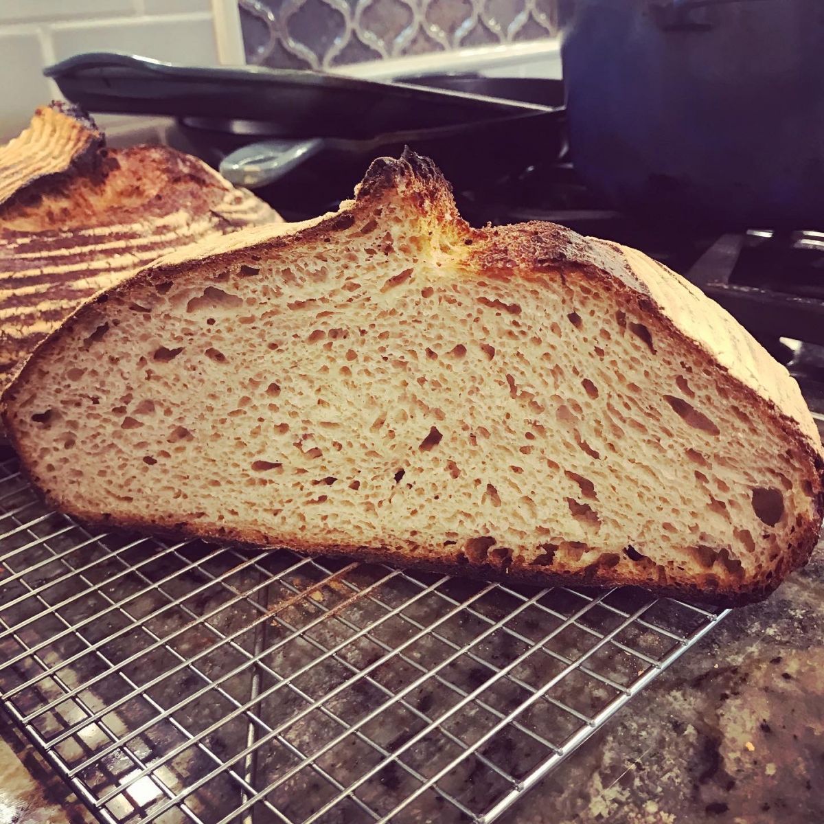 Bread: A Natural Companion to the Brewer's Art