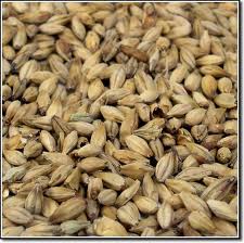 The Magic of Munich Malt