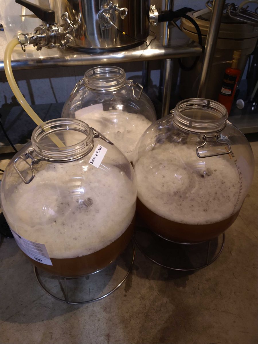 How to Tell if Your Beer or Mead is Infected