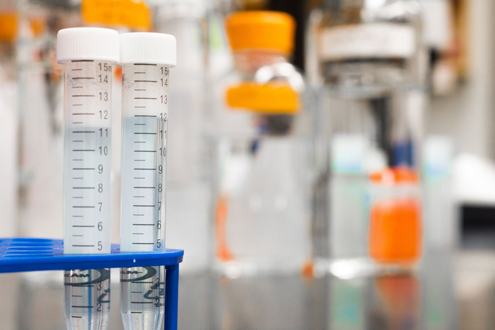 Testing Wine Musts For Sugar, pH, and TA