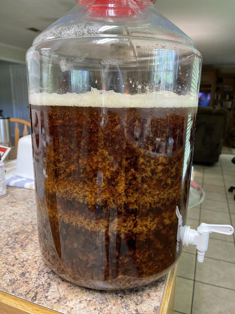 What are the advantages/disadvantages of a carboy versus a bucket?