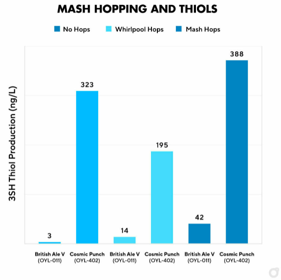 Thiol Precursors - Creating fruity hop flavors without hops!