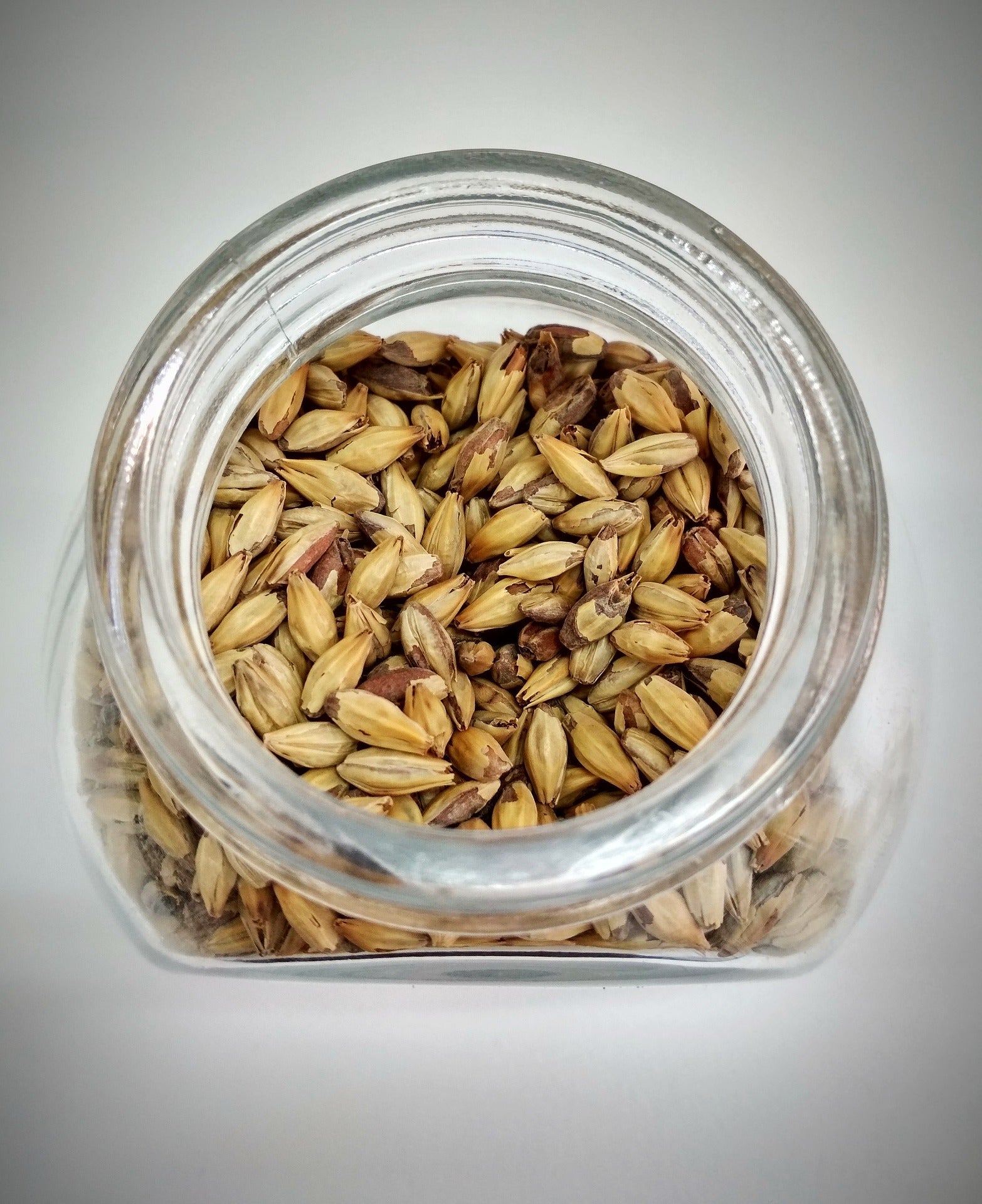 Amylase Enzymes