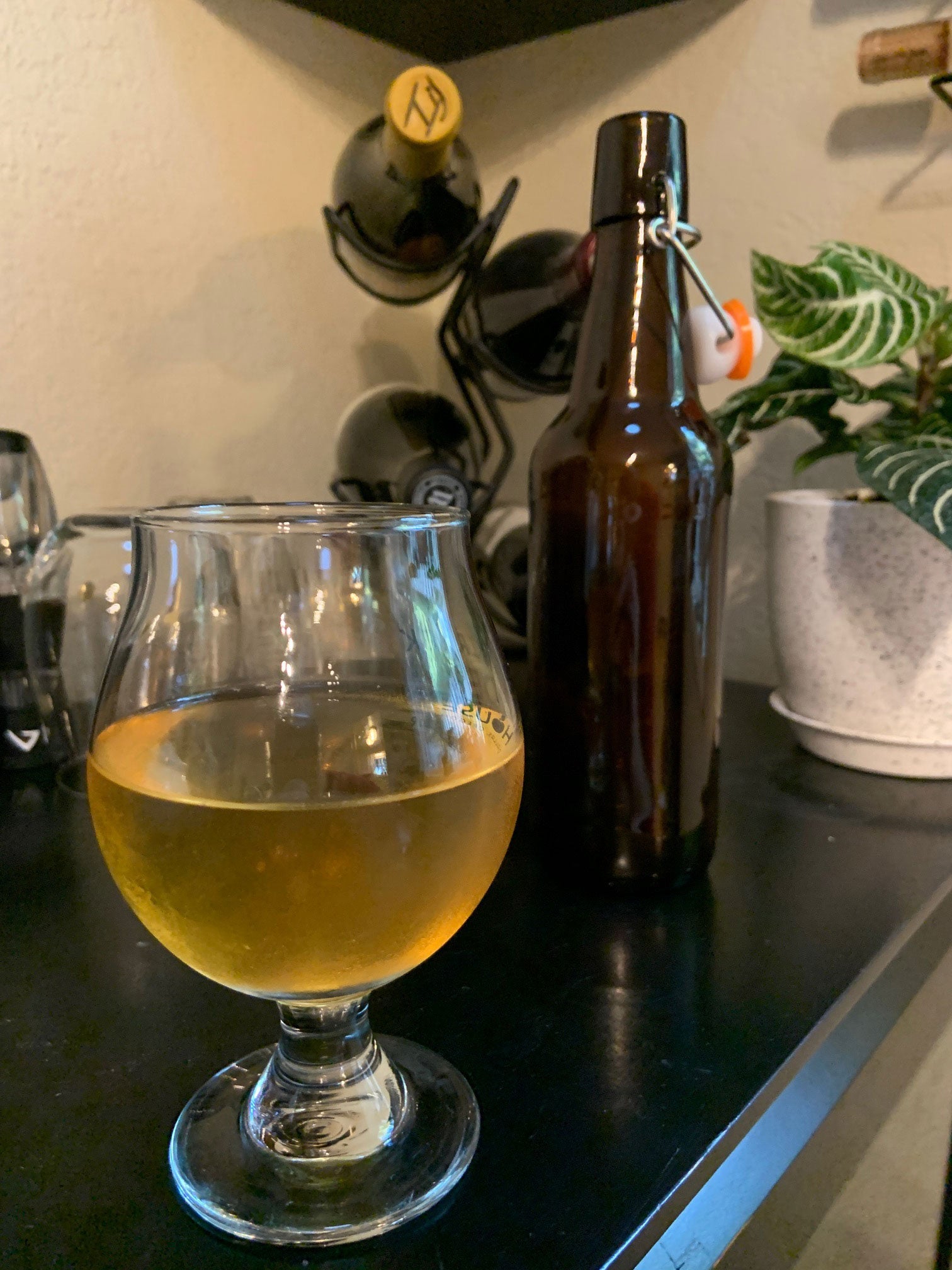 A Novice Homebrewer's Story of Making Cider