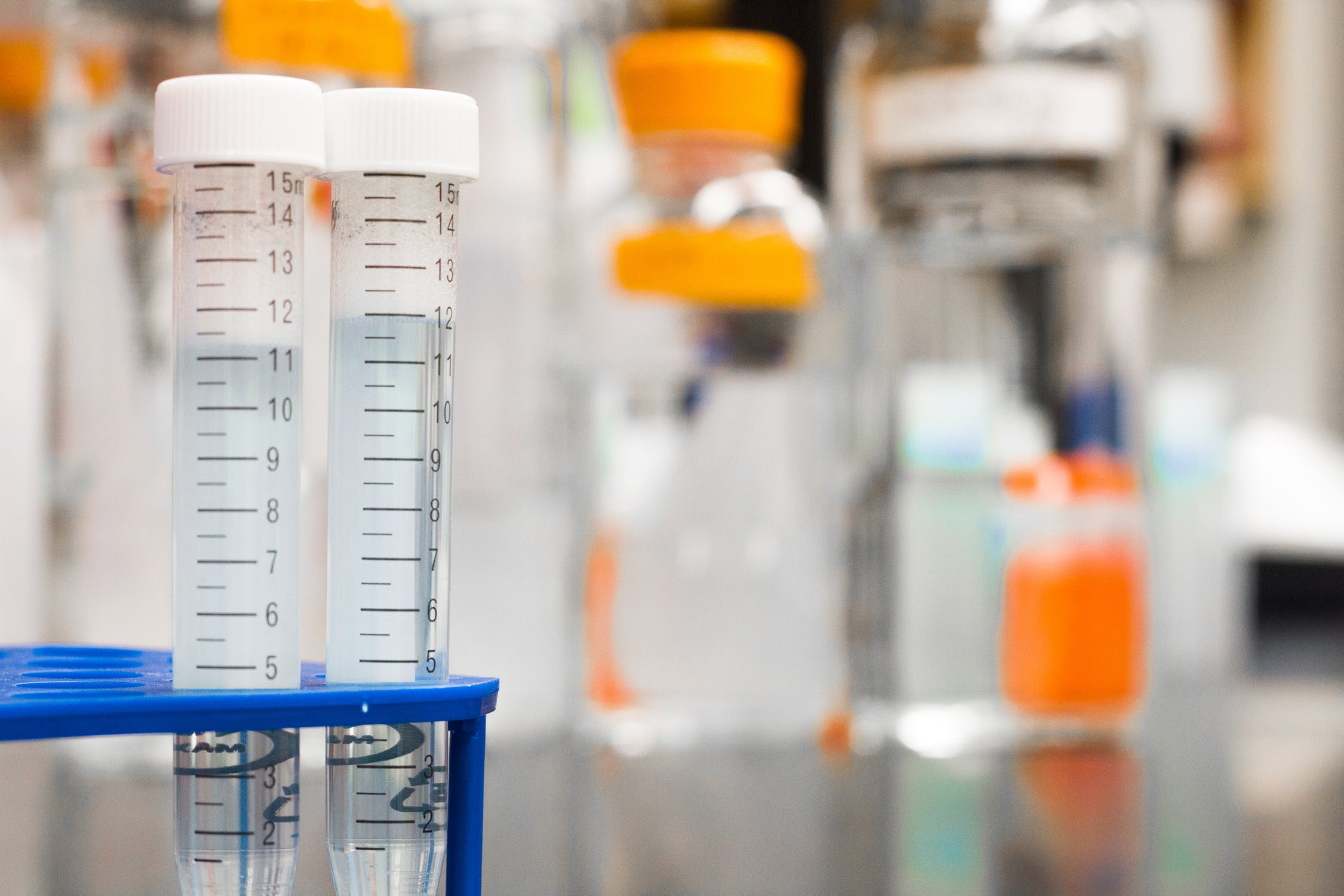 Simple Detection of Wild Yeast and Yeast Stability