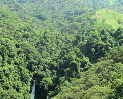 Green Coffee - Regional Series - Colombia Nariño, Wet Processed - PLACEHOLDER