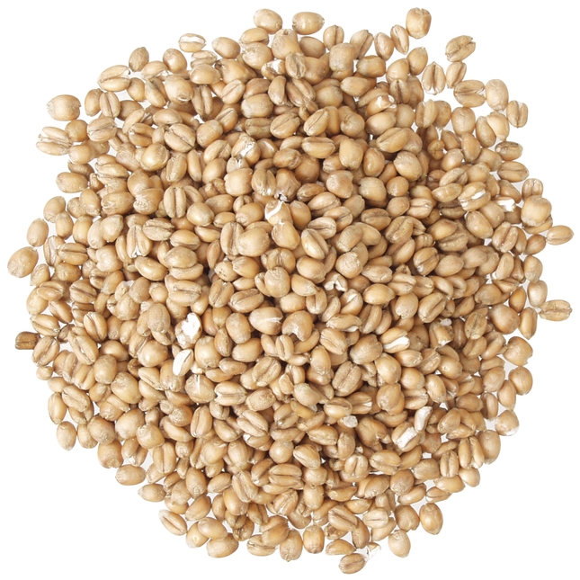Briess - Torrified Wheat Malt - PLACEHOLDER