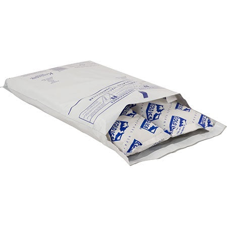 Large Insulated Ice Pack Shipping Upgrade