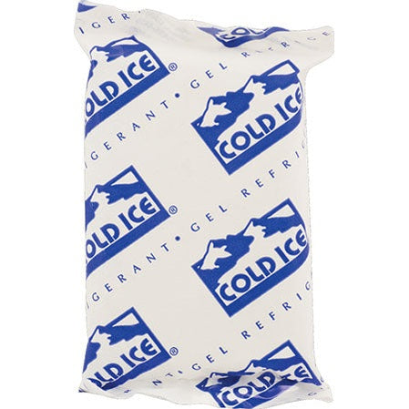 Large Insulated Ice Pack Shipping Upgrade