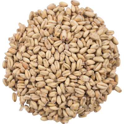 Wheat