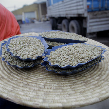 Green Coffee - Regional Series - Ethiopia Sidamo, Wet Processed - PLACEHOLDER