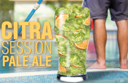 Citra Session Pale Ale beer recipe kit