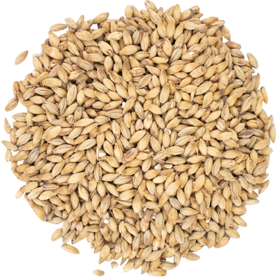 Viking Base Malts