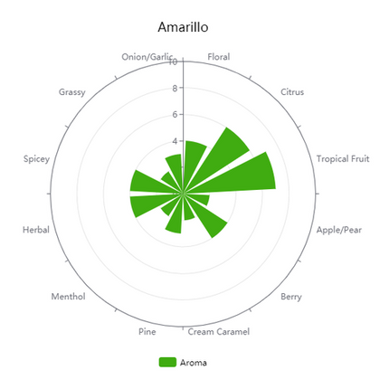 Pellet Hops - Amarillo - PLACEHOLDER