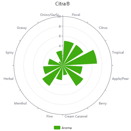 Whole Hops - Citra - PLACEHOLDER