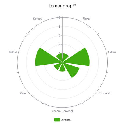 Hop (Pellets) - US Lemondrop - PLACEHOLDER