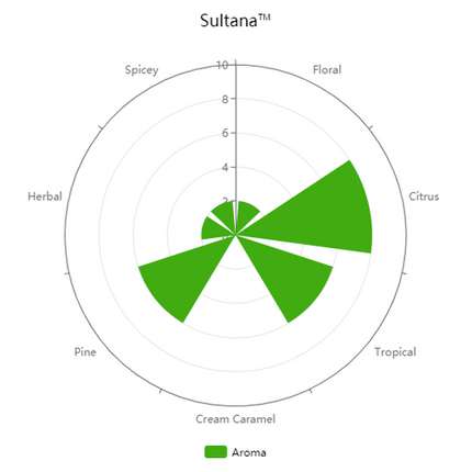 Pellet Hops - Sultana - Experimental #06277 & Denali - PLACEHOLDER