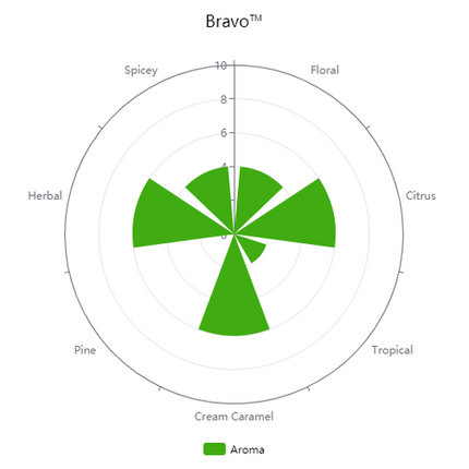 Pellet Hops - Bravo - PLACEHOLDER