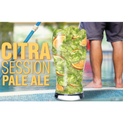 Beer Recipe Kit Bundle - National Beer Day Celebration Pack! - PLACEHOLDER