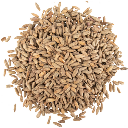 Malt - Viking Malt Rye - Per Lb (Showroom Only)