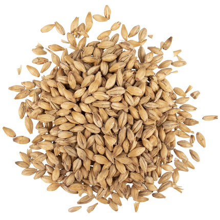 Malt - Viking Malt Lightly Peated - Per Lb (Showroom Only)