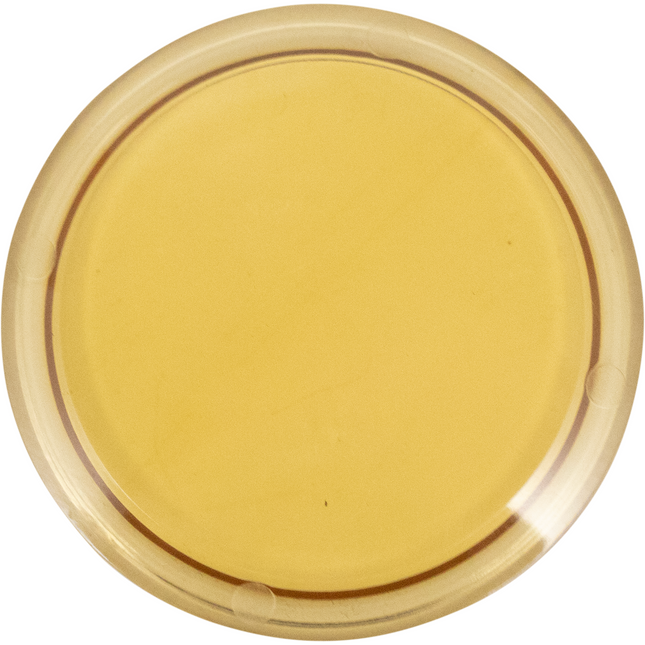 2 in. T.C. Sight Glass Disc (Lens) - Polyphenylsulfone (PPSU)