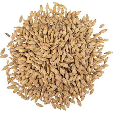 Malt - Viking Malt Caramel 30 (10L) - Per Lb (Showroom Only)
