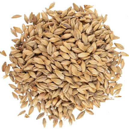 Malt - Viking Malt Red Ale - Per Lb (Showroom Only)