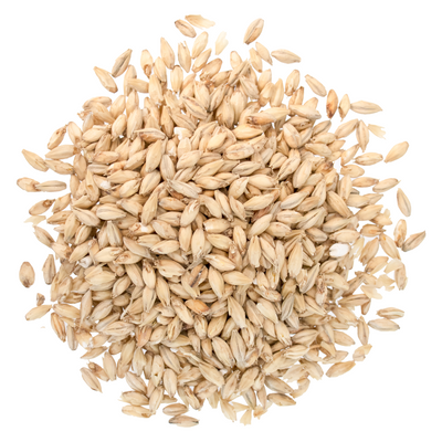 Barley