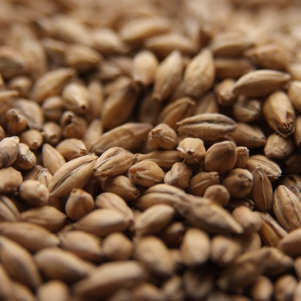 Malt - Crisp - Chevallier Heritage - Per Lb (Showroom Only)