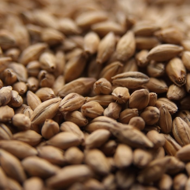 Malt - Crisp - Chevallier Heritage - Per Lb (Showroom Only)