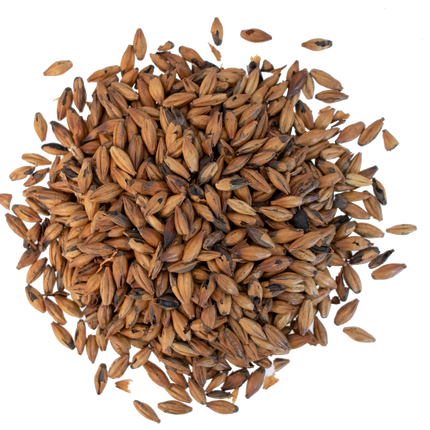 Malt - Viking Malt Coffee - Per Lb (Showroom Only)