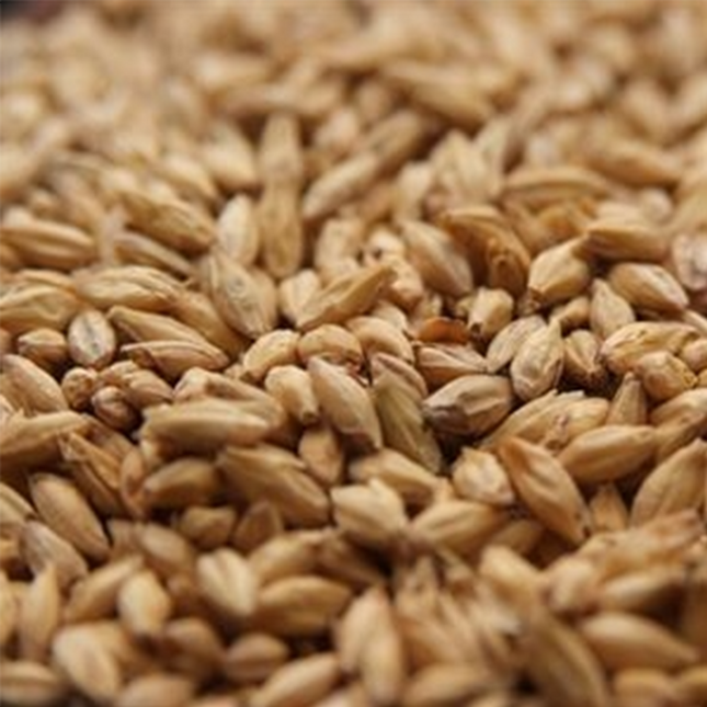 Malt - Rahr - High DP Distillers Malt - Per Lb (Showroom Only)