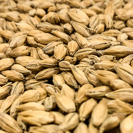 Malt - Rahr - Dextrin Malt - Per Lb (Showroom Only)