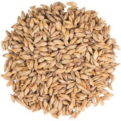 Malt - Carapils - Per Lb (Showroom Only)