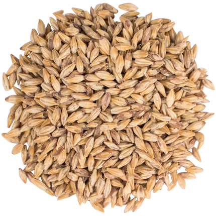 Malt - Carapils - Per Lb (Showroom Only)