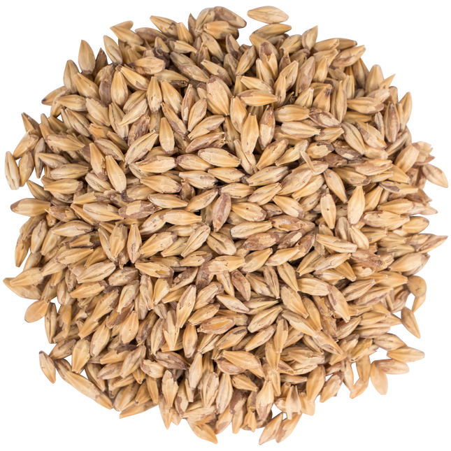 Malt - Carapils - Per Lb (Showroom Only)