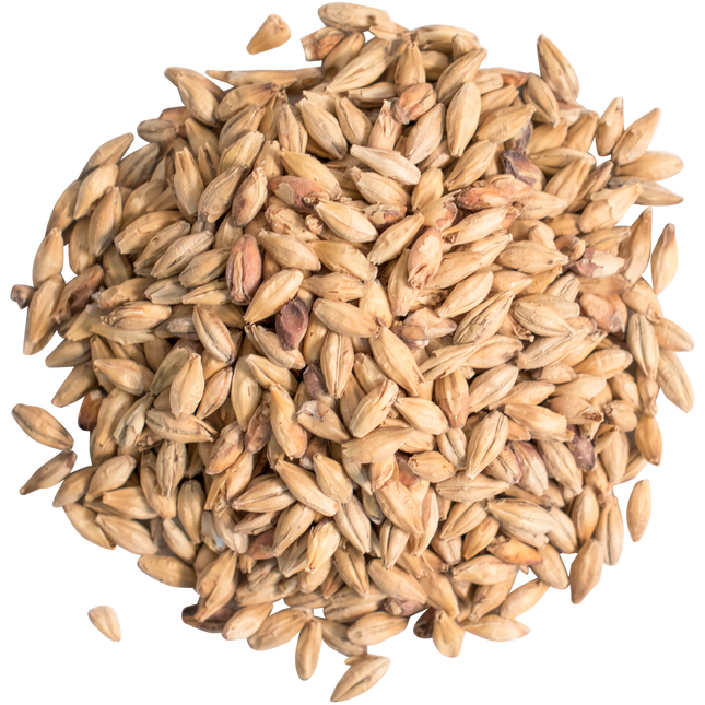 Malt - German Munich - Per Lb (Showroom Only)