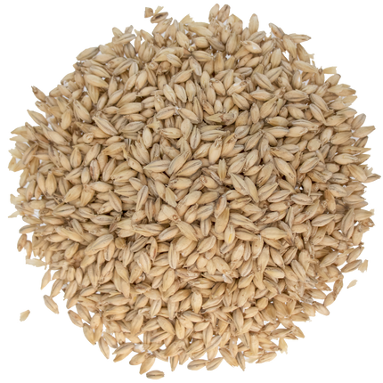 Malt - Briess Pilsen - Per Lb (Showroom Only)
