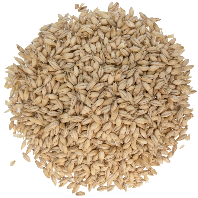 Malt - Briess Pilsen - Per Lb (Showroom Only)