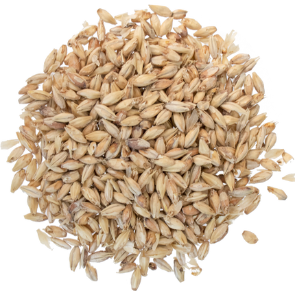 Malt - Goldpils Vienna - Per Lb (Showroom Only)
