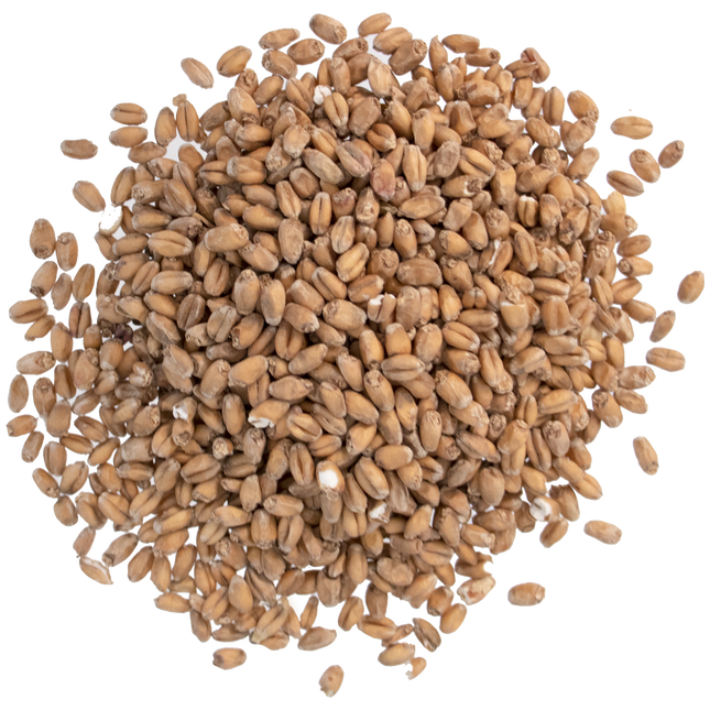 Malt - Briess Red Wheat - Per Lb (Showroom Only)