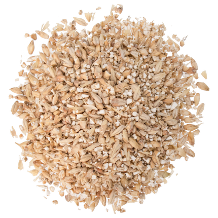 Malt - Ashburne Mild - Per Lb (Showroom Only)