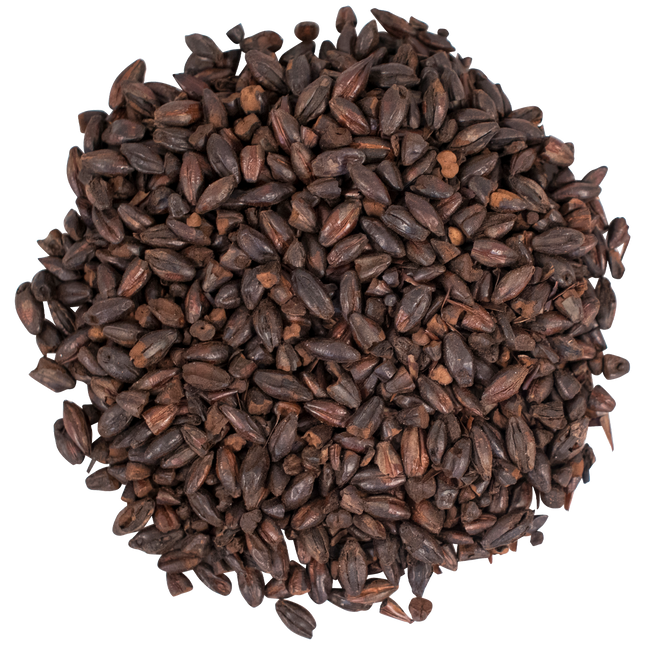 Malt - Briess Dark Chocolate - Per Lb (Showroom Only)