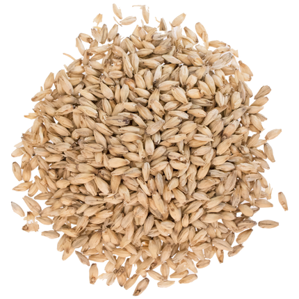 Malt - Rahr 6-Row - Per Lb (Showroom Only)