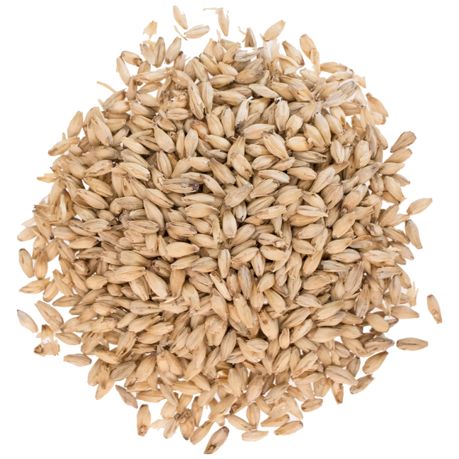 Malt - Rahr 6-Row - Per Lb (Showroom Only)